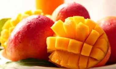 रायपुर के कृषि विश्वविद्यालय में राष्ट्रीय आम महोत्सव का आयोजन