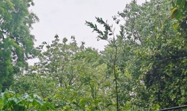 अब गरजेंगे बादल, मानसून की होगी झड़ीदार एंट्री