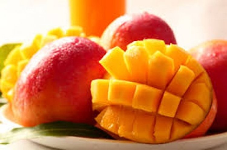 रायपुर के कृषि विश्वविद्यालय में राष्ट्रीय आम महोत्सव का आयोजन