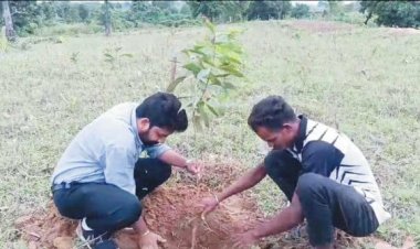 युवा मिलन समारोह में पौधारोपण