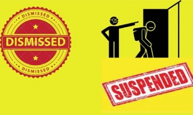 बिलासपुर कलेक्टर की बड़ी कार्रवाई