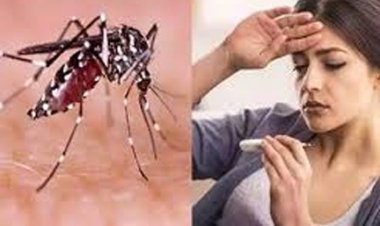 टाइफाइड, डायरिया, डेंगू और मलेरिया से बचाव के लिए जनता से सावधानी बरतने की अपील