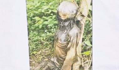 जंगल में युवक की मिली थी सड़ी- गली लाश