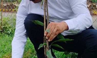 एक पेड़ माँ के नाम अभियान के तहत राज्य सूचना आयोग में किया गया वृक्षारोपण