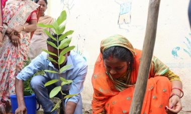 महिला एवं बाल विकास मंत्री लक्ष्मी राजवाड़े ने किया पौधारोपण