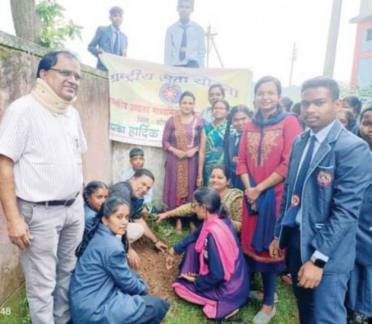 स्कूल में रोपे पौधे