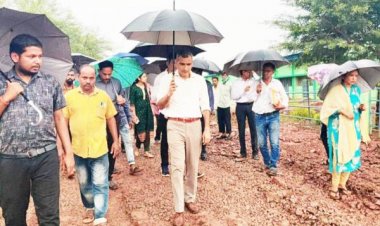 गायों की सेहत की नियमित रूप से जांच करें