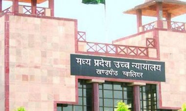 हाईकोर्ट:कर्मचारियों के भुगतान पर मुरैना कलेक्टर का यू-टर्न:जस्टिस हुए नाराज, वीसी से जुड़े मुरैना कलेक्टर, बोले-हमारी नीयत नेक, जज ने कहा-लग नहीं रहा