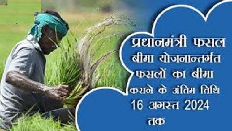 16 अगस्त 2024 तक करा सकते है प्रधानमंत्री फसल बीमा योजनान्तर्गत फसलों का बीमा