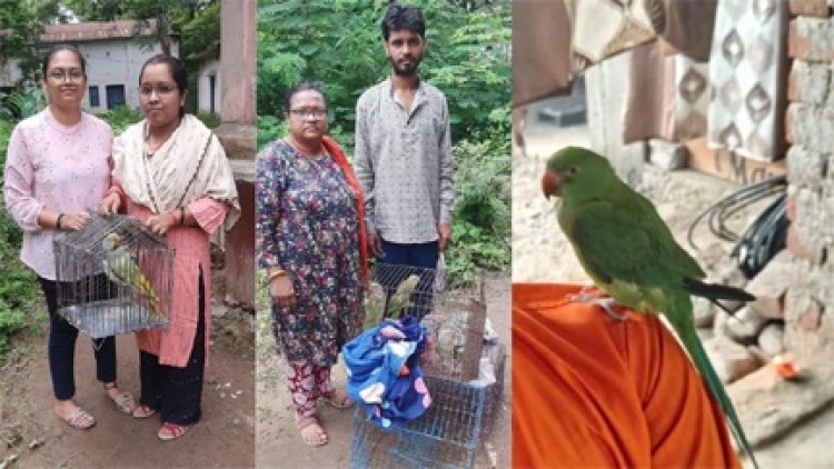 प्रतिबंध आदेश के बाद तोता पालने वाले आ गए थे टेंशन में