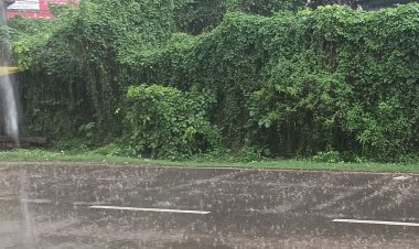 शनिवार को दोपहर में बदला मौसम का मिजाज:लगातार दो घंटे रिमझिम बारिश हुई, भादो मास में सावन की झड़ी का एहसास