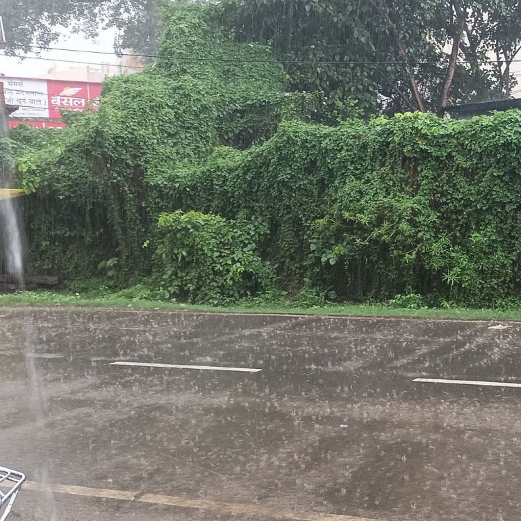 शनिवार को दोपहर में बदला मौसम का मिजाज:लगातार दो घंटे रिमझिम बारिश हुई, भादो मास में सावन की झड़ी का एहसास