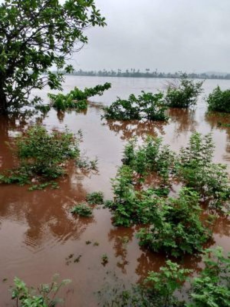 मूसलाधार वर्षा से जनजीवन प्रभावित