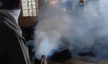 इंदौर में डेंगू आउट ऑफ कंट्रोल,महापौर को कोस रहे लोग:सोशल मीडिया पर वीडियो अपलोड कर कहा- आपके पास विजन नहीं, मेरा नाई आपसे अच्छा सोचता है