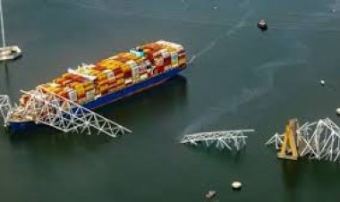 अमेरिका को ये जहाज़ कंपनियां देंगी 10 करोड़ डॉलर का हर्जाना, लेकिन क्यों?