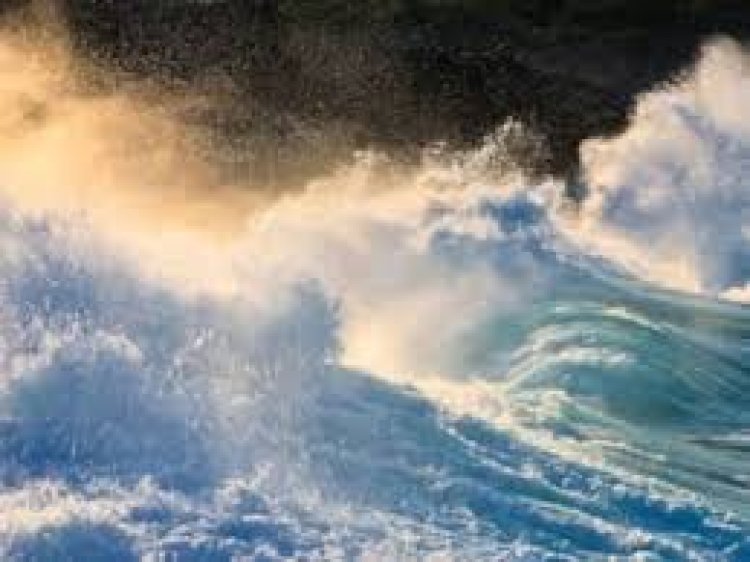 कलिंगा लांसर्स ने वैलेंटिन अल्टनबर्ग को मुख्य कोच नियुक्त किया