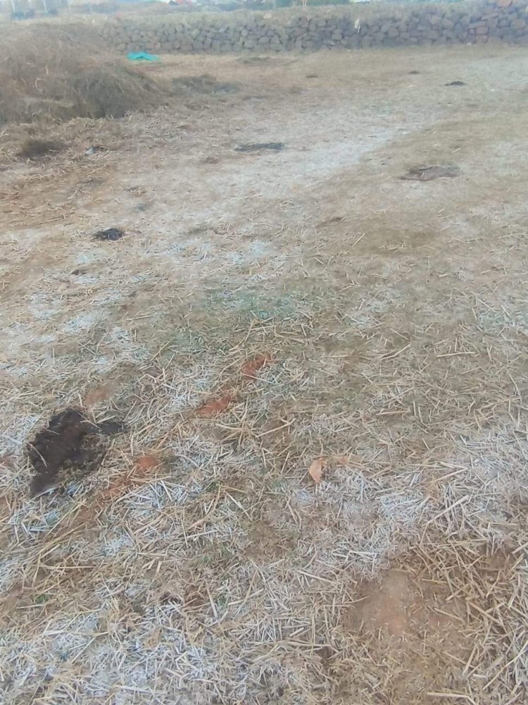 सरगुजा : शीतलहर ने दिन में भी बढ़ाई ठिठुरन, पठारी इलाके में पारा एक डिग्री