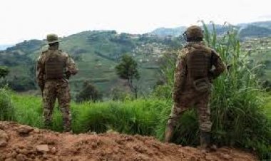 सीनीयर प्लेट ग्रुप इंटर में रायपुर जीता, जशपुर पीछे, कोरिया आगे