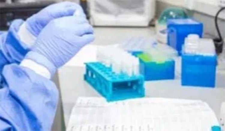 नाइजीरिया में लासा बुखार महामारी से मरने वालों की संख्या बढ़कर 127 हुई