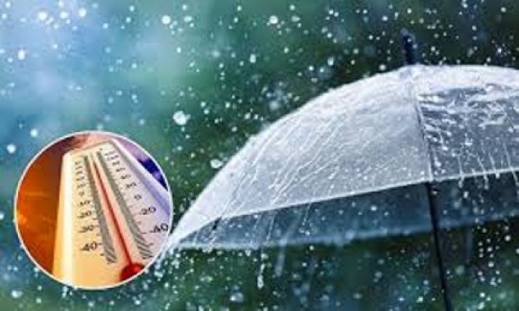 रायपुर में तेज हवा के साथ बारिश