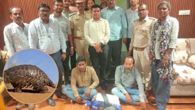 बीजापुर में पैंगोलिन शल्क तस्कर गिरफ्तार