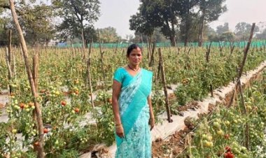 राष्ट्रीय ग्रामीण आजीविका मिशन ‘बिहान’ से बदली तस्वीर