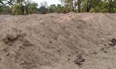 50 ट्रिप अवैध रेत जब्त