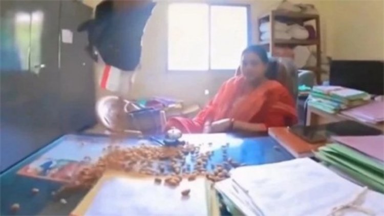 याददाश्त बढ़ाने का अनोखा तरीका: युवक के प्रदर्शन के बाद फाइल दबाने वाले अधिकारी हटाए गए