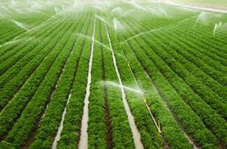 दो सिंचाई योजनाओं के कार्यों के लिए 6.58 करोड़ रूपए स्वीकृत