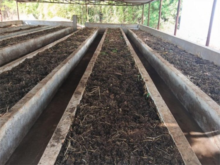 वर्मी कंपोस्ट उत्पादन बनी आत्मनिर्भरता की मिसाल